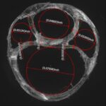 Ultem 1000 quad lumen .150 OD27 150x150