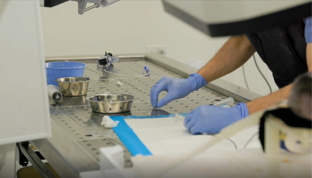 Cropped images for blog 02 1 1024x585