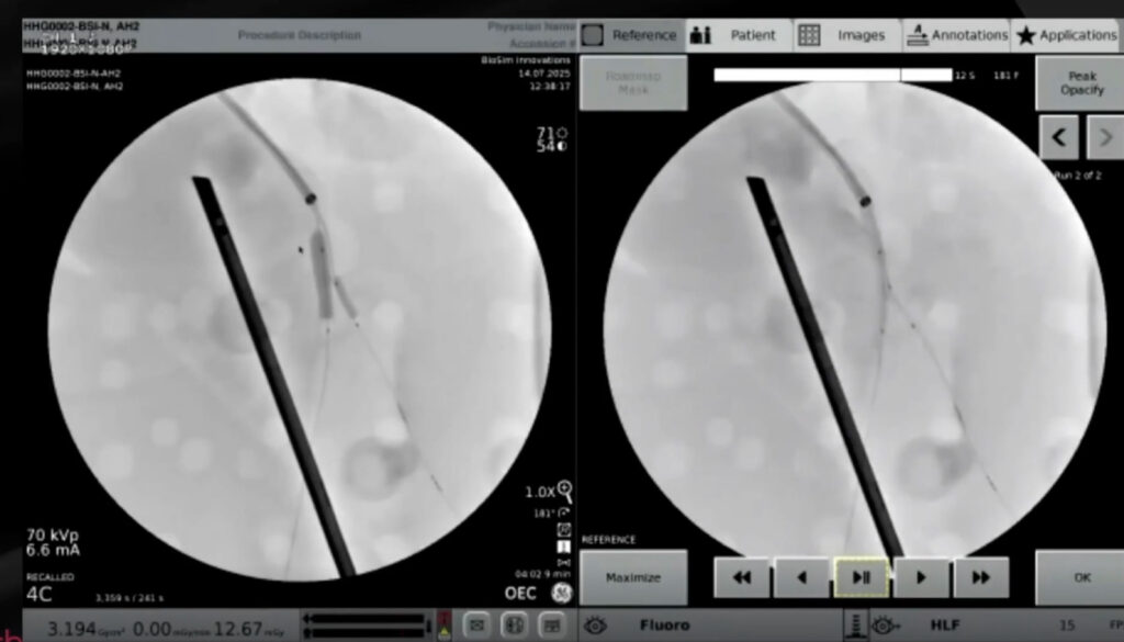 Cropped images for blog 03 1 1024x585