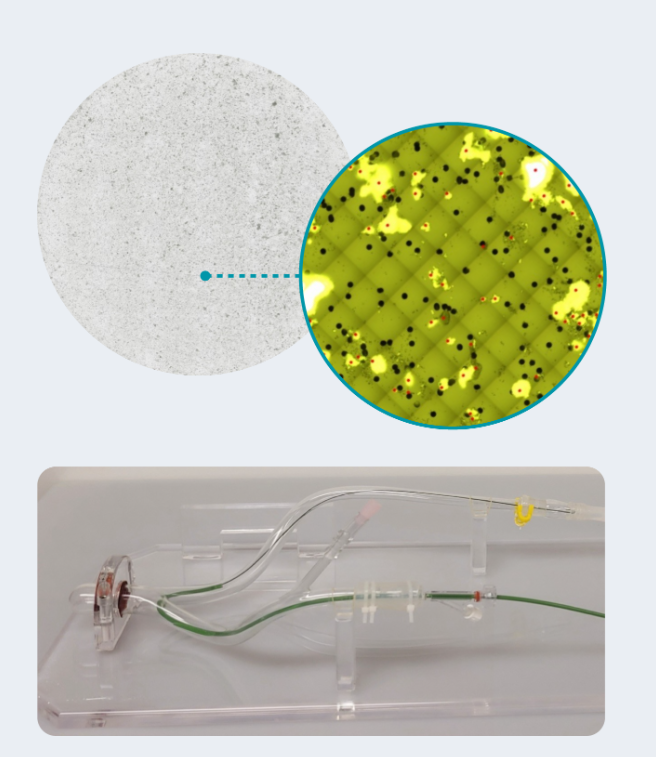 Surmodics particulate images