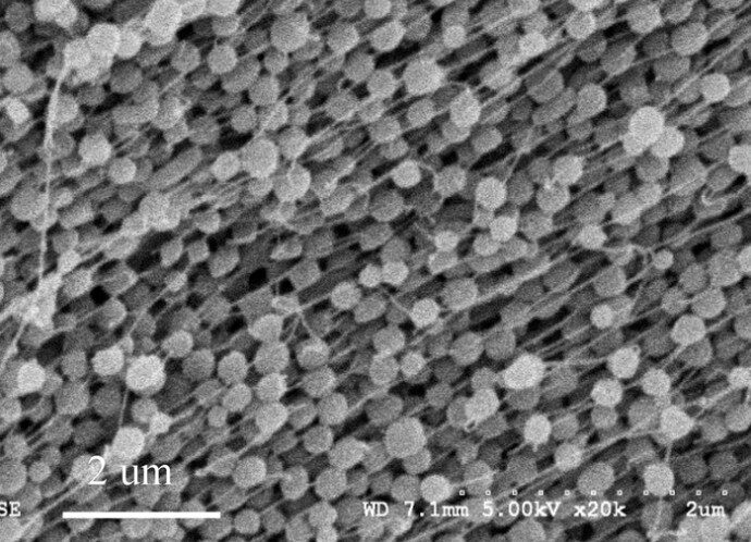 SEM of PTFE paste extrudate showing the particle-fibril structure behind the “orange peel” surface topography