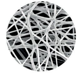 Electrospun PTFE membrane showing its non-woven, multidirectional nanofibrous structure. Image: Solaris Endovascular