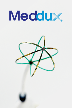 Meddux EP catheter image